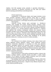 Patentiniai tyrimai 6 puslapis