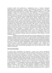 Paveldėjimo pagrindas 12 puslapis