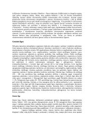 Paveldėjimo pagrindas 13 puslapis