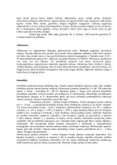 Paveldėjimo pagrindas 14 puslapis