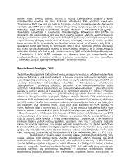 Paveldėjimo pagrindas 3 puslapis