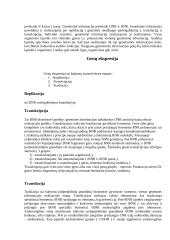 Paveldėjimo pagrindas 7 puslapis