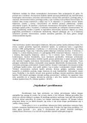 Paveldėjimo pagrindas 9 puslapis