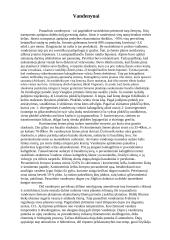 Paviršiniai, požeminiai vandenys ir vandenynai 7 puslapis