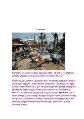 Pavojingi orų reiškiniai 6 puslapis