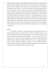 Pažaislio vienuolynas 5 puslapis