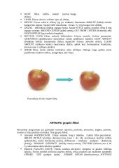 Photoshop CS2 11 puslapis