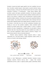 Piktybinių susirgimų genetika 2 puslapis