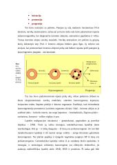 Piktybinių susirgimų genetika 8 puslapis