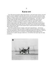 Pirmasis pasaulinis karas. Lietuvos valstybės atkūrimas 8 puslapis