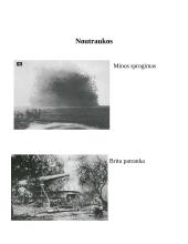 Pirmasis pasaulinis karas. Lietuvos valstybės atkūrimas 10 puslapis