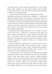 Pirmieji Lietuvos gyventojai 3 puslapis