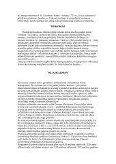 Pirmykščių lietuvių būstas. Architektūros stiliai 6 puslapis