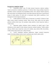 Pirmoji pagalba kai kuriomis gyvenimo situacijomis 7 puslapis