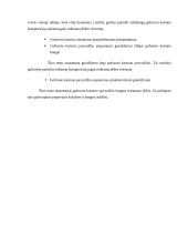 Popierius ir kartonas 11 puslapis