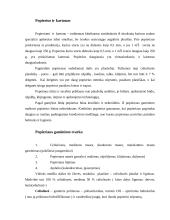 Popierius ir kartonas 3 puslapis