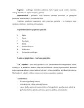 Popierius ir kartonas 4 puslapis