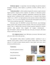 Popierius ir kartonas 6 puslapis