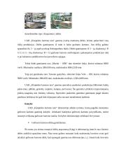 Popierius ir kartonas 10 puslapis