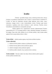 Pradinė mokykla švietimo politikos kontekste 3 puslapis