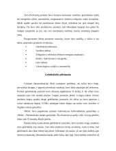 Pramonės revoliucijos branda (1815-1918 metais) 3 puslapis