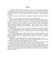 Prancūzija 3 puslapis