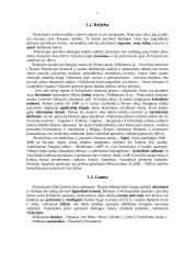 Prancūzija 5 puslapis