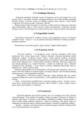 Prancūzija 8 puslapis