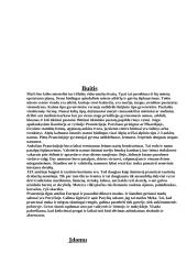 Prancūzija bei Prancūzijos charakteristika 15 puslapis