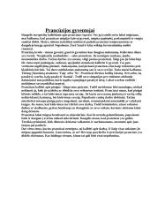 Prancūzija bei Prancūzijos charakteristika 3 puslapis