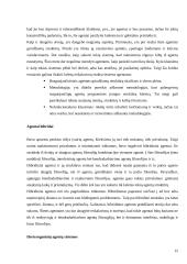 Programiniai agentai (referatas) 15 puslapis