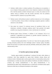 Programiniai agentai (referatas) 8 puslapis