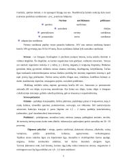 Įvairūs psichikos sutrikimai 5 puslapis