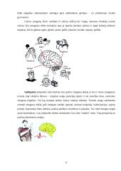 Įvairūs psichikos sutrikimai 8 puslapis