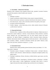 Psichotinis sutrikimas - šizofrenija 4 puslapis