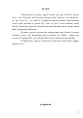 Racionalistų ir empirikų pažinimo samprata 11 puslapis