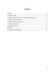 Raganos istorijoje ir mūsų gyvenime 2 puslapis