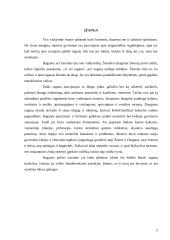 Raganos istorijoje ir mūsų gyvenime 3 puslapis