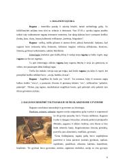 Raganos istorijoje ir mūsų gyvenime 4 puslapis
