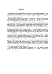 Rasos šventė 3 puslapis