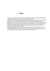 Rasos šventė 4 puslapis