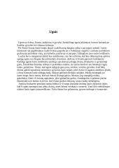 Rasos šventė 6 puslapis