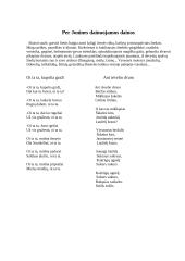 Rasos šventė 9 puslapis