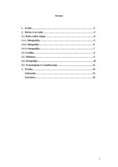 Raštas bei jo raida 2 puslapis