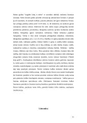 Raštas bei jo raida 15 puslapis