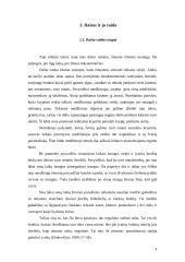 Raštas bei jo raida 4 puslapis