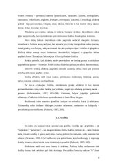 Raštas bei jo raida 8 puslapis