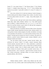 Raštas bei jo raida 9 puslapis