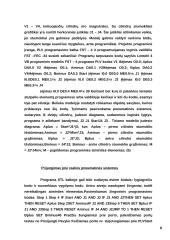 Realaus laiko sistemų įterptinės kompiuterinės sistemos 8 puslapis