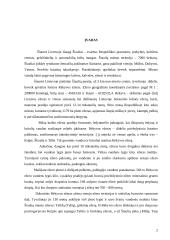 Rėkyvos ežeras 2 puslapis